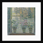 Les Hortensias, 1918 by Anonymous