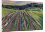 Ploughed field, 1916 by Anonymous