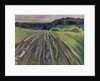 Ploughed field, 1916 by Anonymous