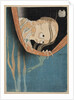 The Ghost of Kohada Koheiji (From One Hundred Stories), 1831 by Anonymous