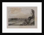 View of Moscow from the Neskuchny Garden, 1836 by Anonymous