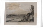 View of Moscow from the Neskuchny Garden, 1836 by Anonymous