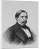Pavel Vasilyevich Annenkov, 1860s by Anonymous