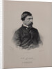 Portrait of the author Ivan Ivanovich Panaev, 1860s by Anonymous