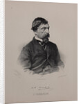 Portrait of the author Ivan Ivanovich Panaev, 1860s by Anonymous