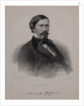 Portrait of the author Alexander Vasilyevich Druzhinin, 1860s by Anonymous