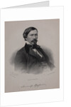 Portrait of the author Alexander Vasilyevich Druzhinin, 1860s by Anonymous