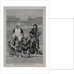Peasants of the Government of Oryol, 1882 by Anonymous