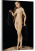 Venus, 1531 by Anonymous