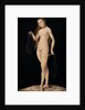 Venus, 1531 by Anonymous