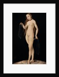 Venus, 1531 by Anonymous