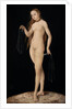 Venus, 1531 by Anonymous