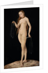 Venus, 1531 by Anonymous