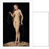 Venus, 1531 by Anonymous