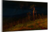 In the Crimea, 1900-1905 by Anonymous