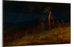 In the Crimea, 1900-1905 by Anonymous