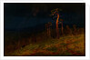 In the Crimea, 1900-1905 by Anonymous