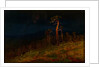 In the Crimea, 1900-1905 by Anonymous