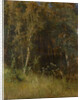 Forest Thicket, 1874 by Anonymous