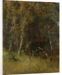 Forest Thicket, 1874 by Anonymous