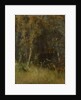 Forest Thicket, 1874 by Anonymous
