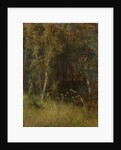 Forest Thicket, 1874 by Anonymous