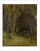 Forest Thicket, 1874 by Anonymous