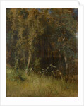 Forest Thicket, 1874 by Anonymous