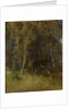 Forest Thicket, 1874 by Anonymous