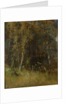 Forest Thicket, 1874 by Anonymous