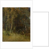 Forest Thicket, 1874 by Anonymous
