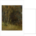 Forest Thicket, 1874 by Anonymous