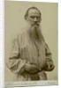 Portrait of the author Count Lev Nikolayevich Tolstoy by Anonymous
