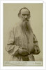 Portrait of the author Count Lev Nikolayevich Tolstoy by Anonymous