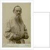 Portrait of the author Count Lev Nikolayevich Tolstoy by Anonymous