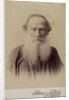 Portrait of the author Count Lev Nikolayevich Tolstoy by Anonymous