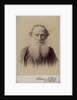 Portrait of the author Count Lev Nikolayevich Tolstoy by Anonymous