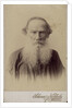 Portrait of the author Count Lev Nikolayevich Tolstoy by Anonymous