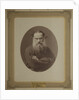 Portrait of the author Count Lev Nikolayevich Tolstoy by Anonymous