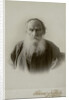Portrait of the author Count Lev Nikolayevich Tolstoy by Anonymous