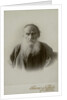 Portrait of the author Count Lev Nikolayevich Tolstoy by Anonymous