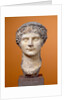 Portrait of Agrippina the Younger (Agrippina Minor) by Anonymous
