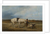 Hunting dog handler by Anonymous