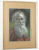 Portrait of the author Count Lev Nikolayevich Tolstoy by Anonymous