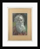 Portrait of the author Count Lev Nikolayevich Tolstoy by Anonymous