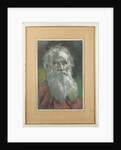 Portrait of the author Count Lev Nikolayevich Tolstoy by Anonymous