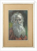 Portrait of the author Count Lev Nikolayevich Tolstoy by Anonymous
