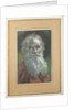 Portrait of the author Count Lev Nikolayevich Tolstoy by Anonymous