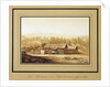 View of the Mount Iremel in the Southern Urals. Series Views of the Ural mountains by Anonymous
