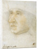 Portrait of Louis Malet de Graville, Admiral of France by Anonymous
